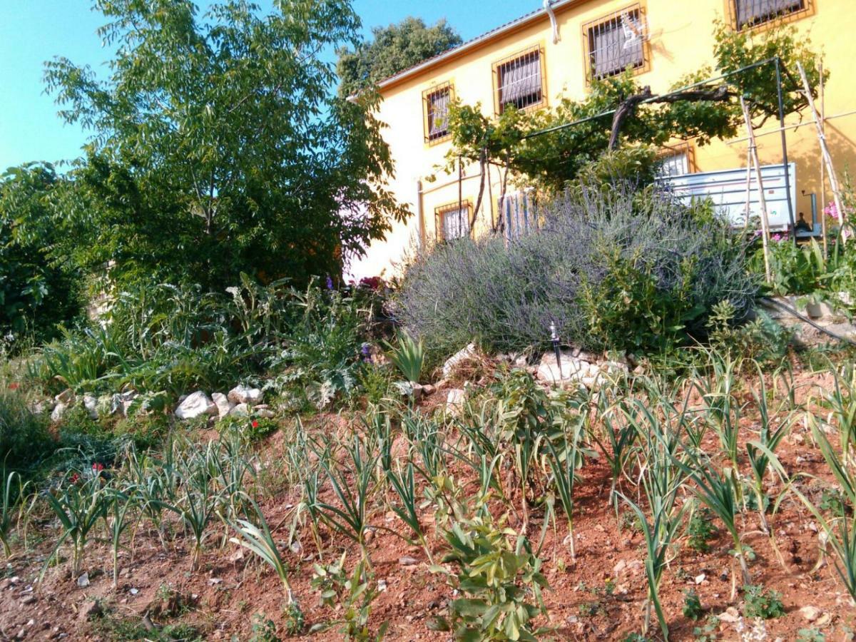 Cortijo De La Cruz Iznájar Exterior foto